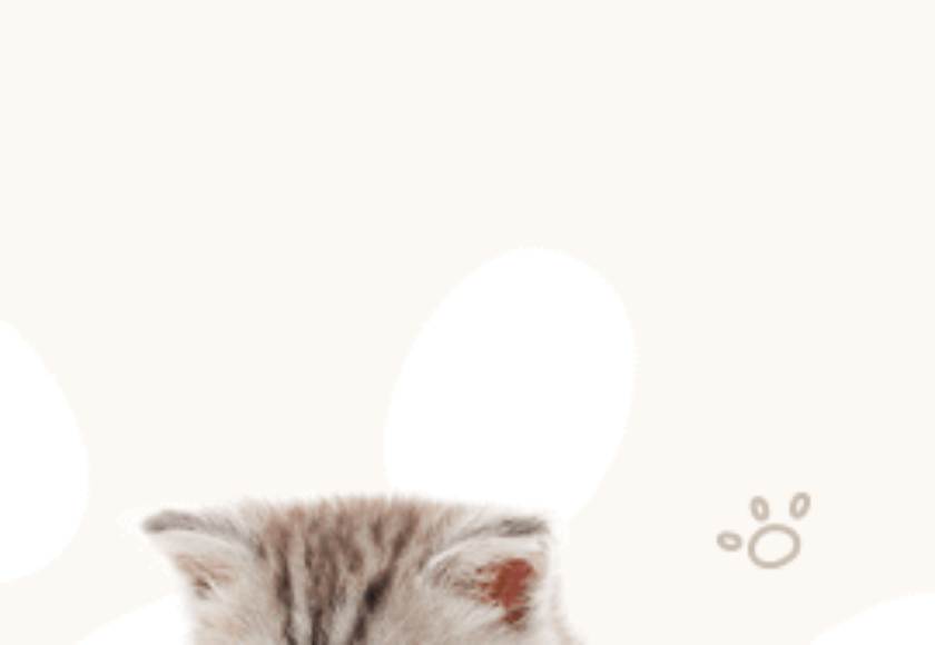 widget-banner-bg