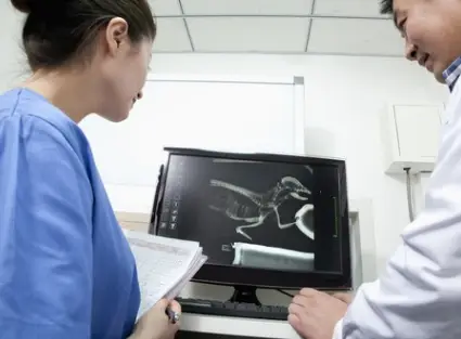 Pet History - Grove center