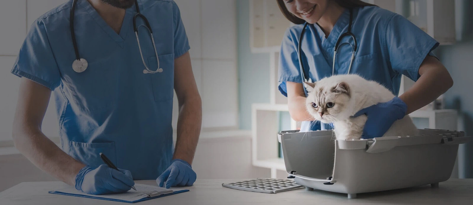 Emergency Animal Clinic