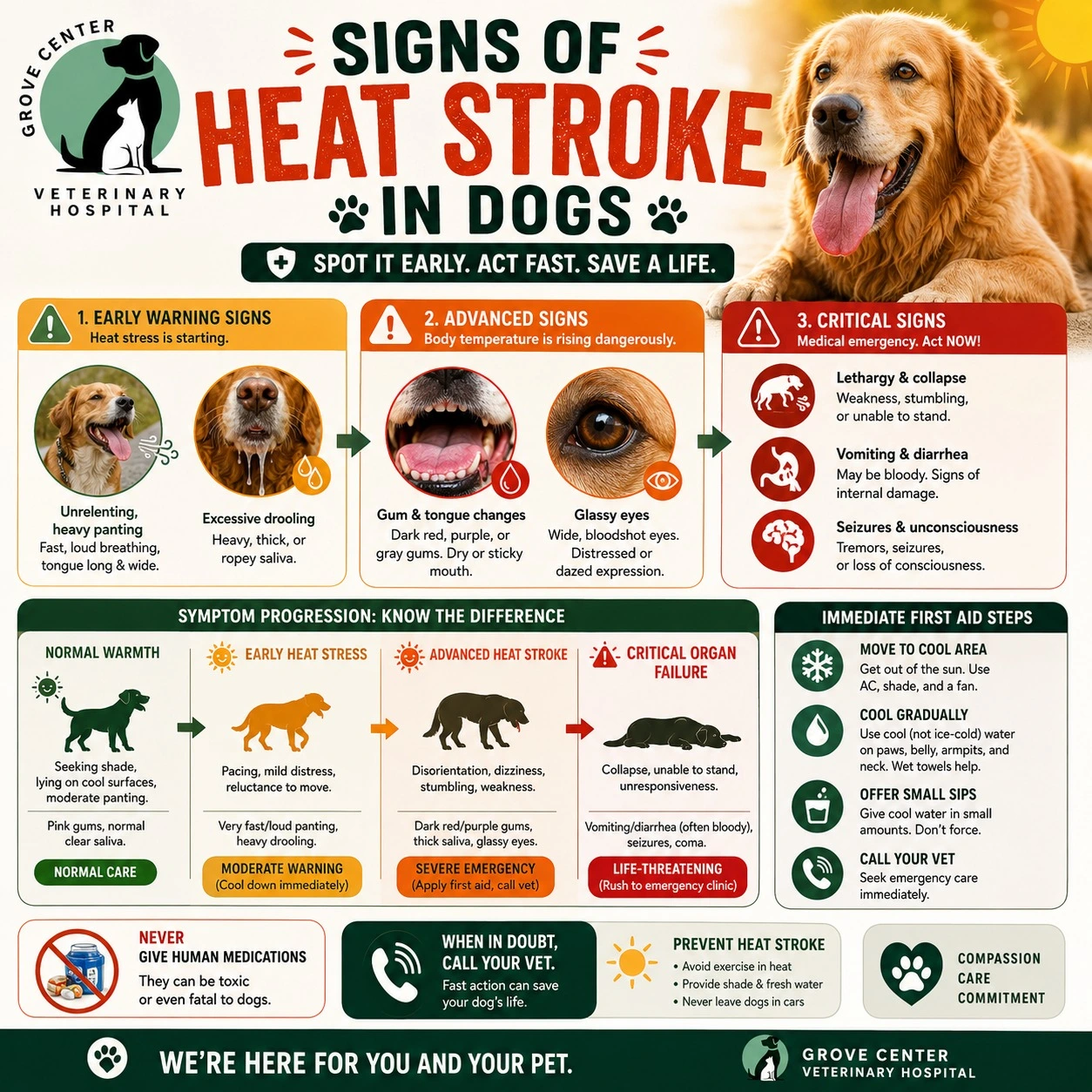 Signs of Heat Stroke in Dogs