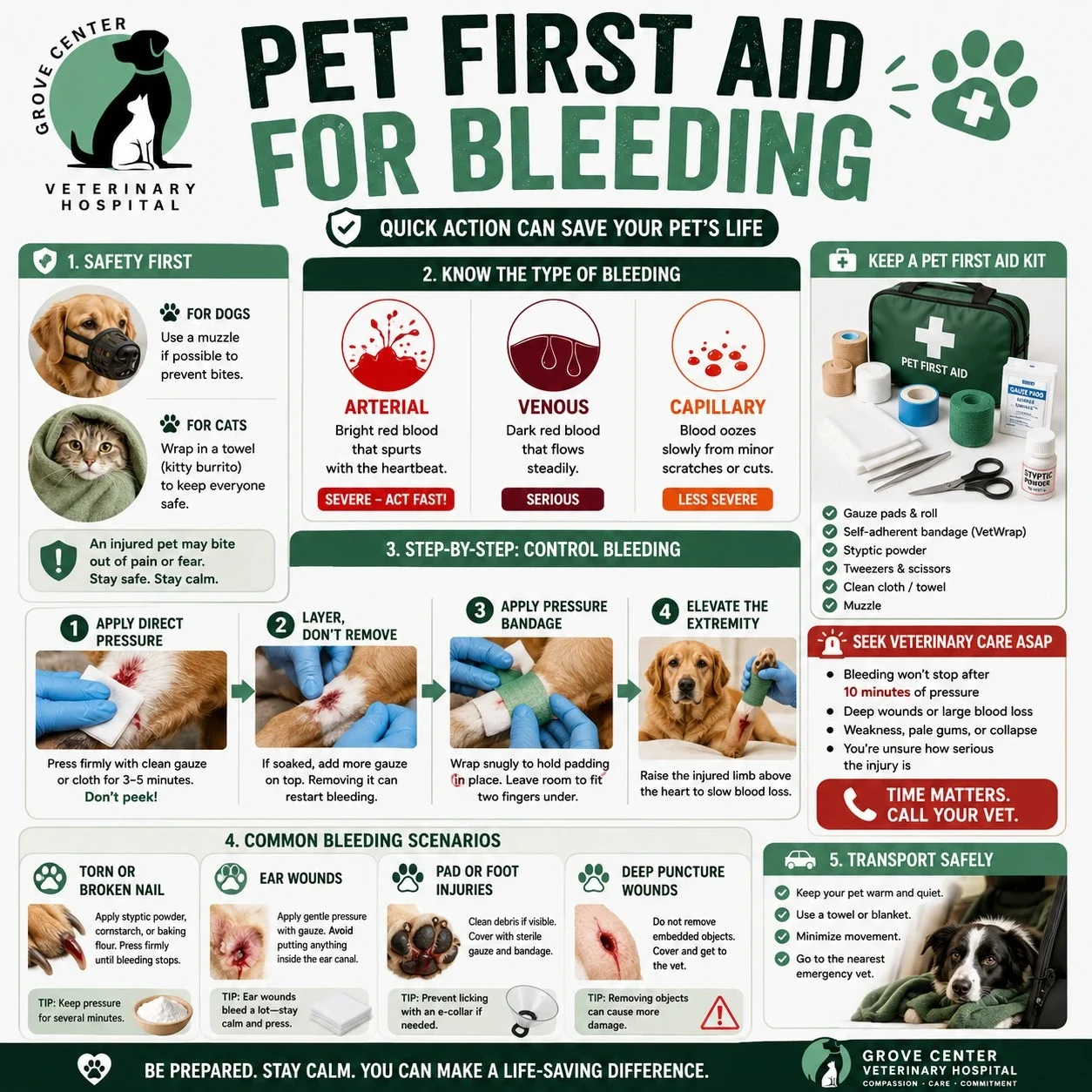 pet first aid