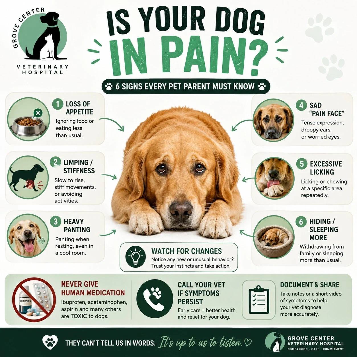 if Dog is in Pain