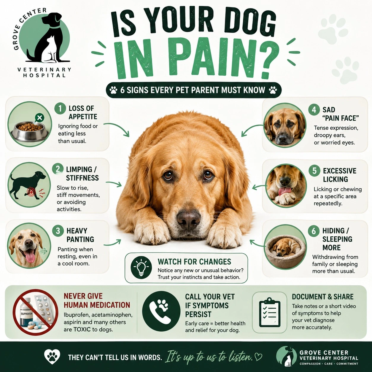 if Dog is in Pain