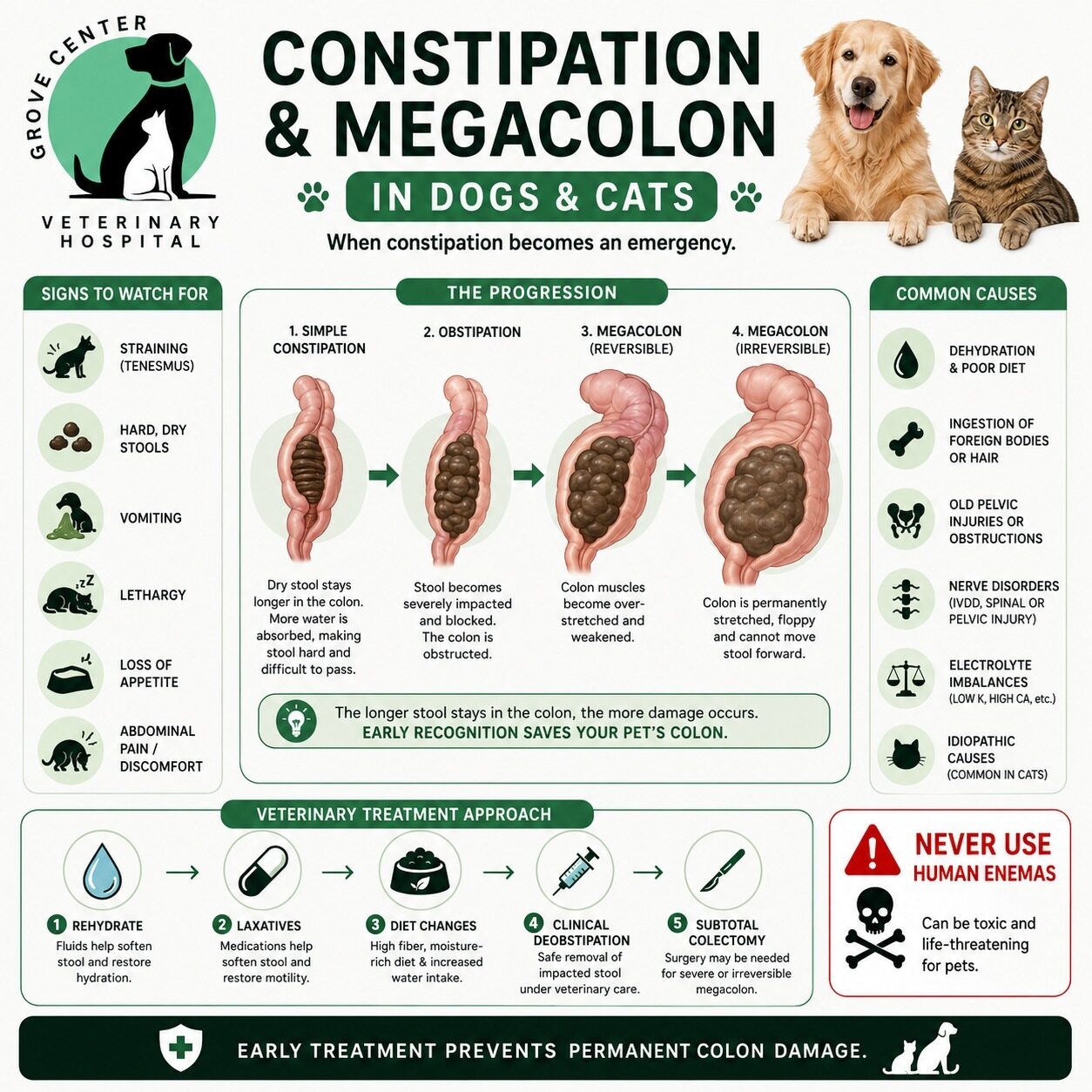 Constipation and Megacolon in Dogs and Cats, Guide to Causes & Care