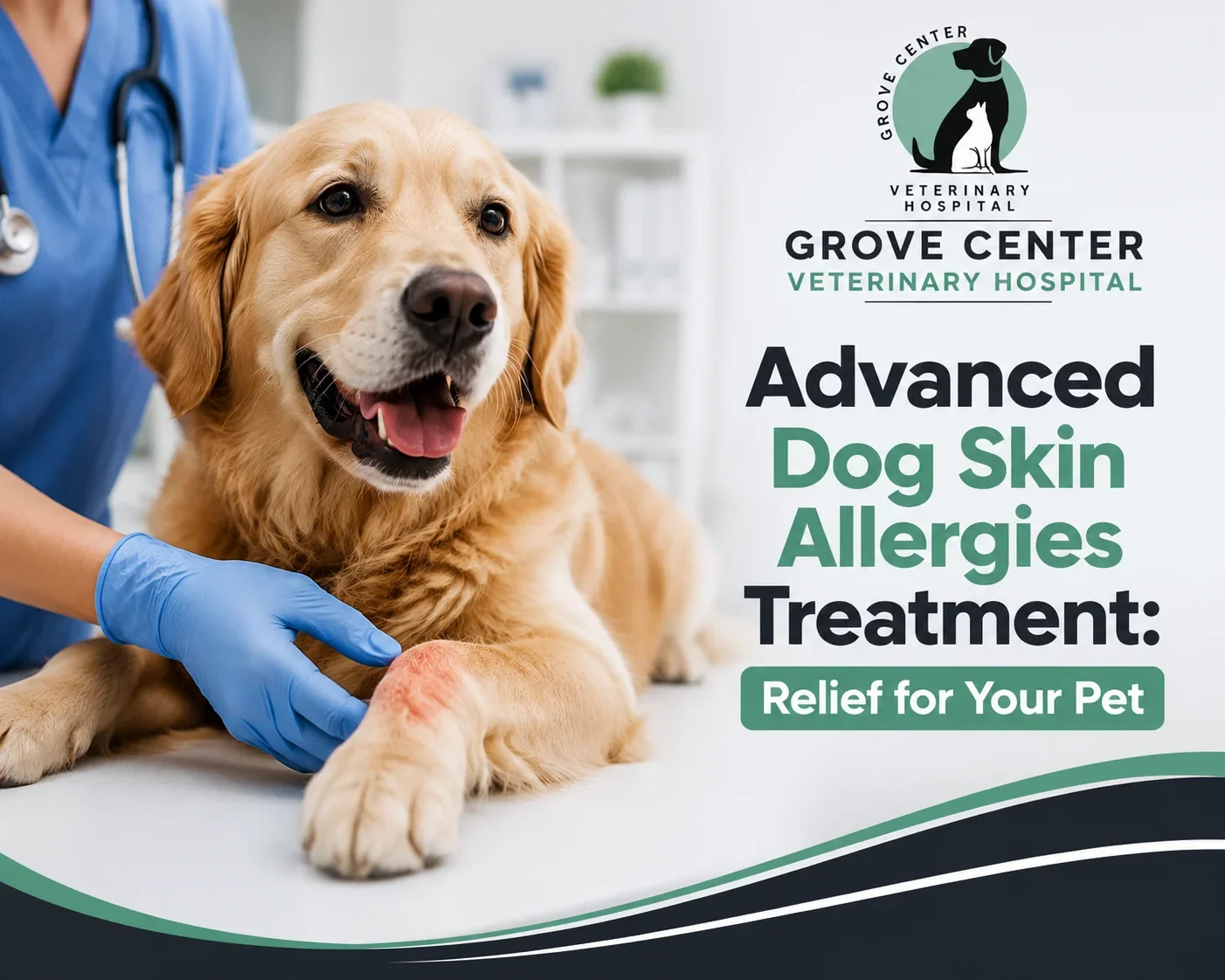 Dog Skin Allergies Treatment : Infographic