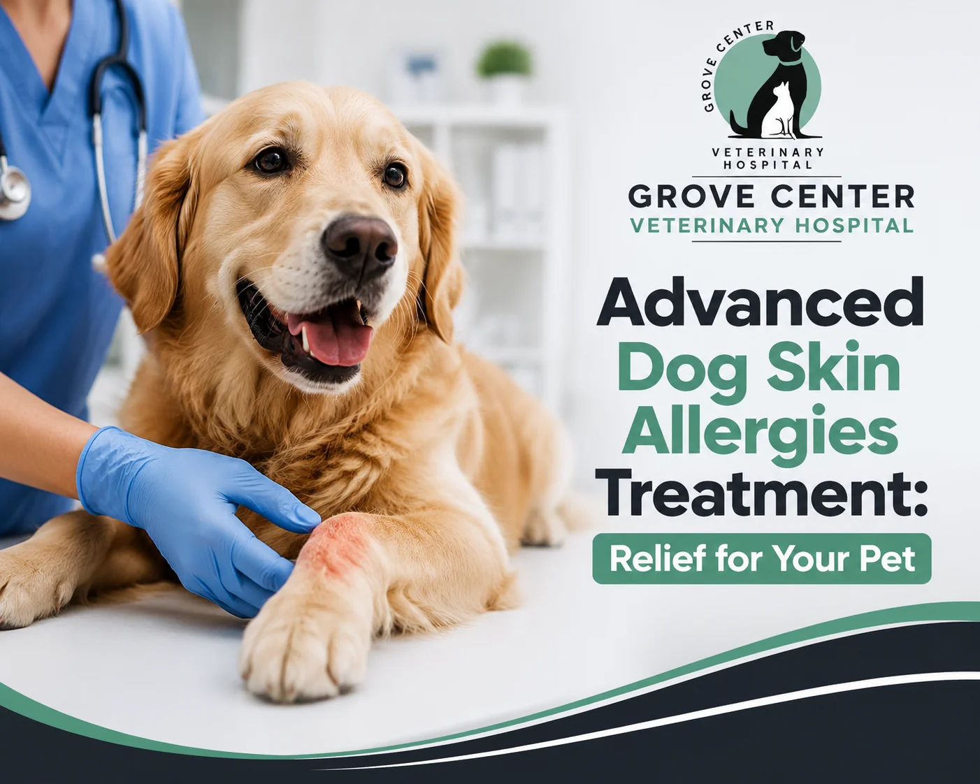 Dog Skin Allergies Treatment : Infographic