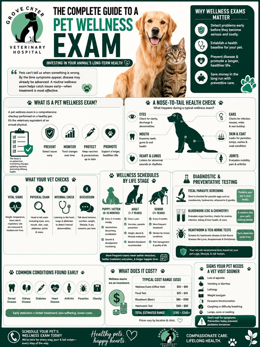Pet Wellness Exam, onfographic