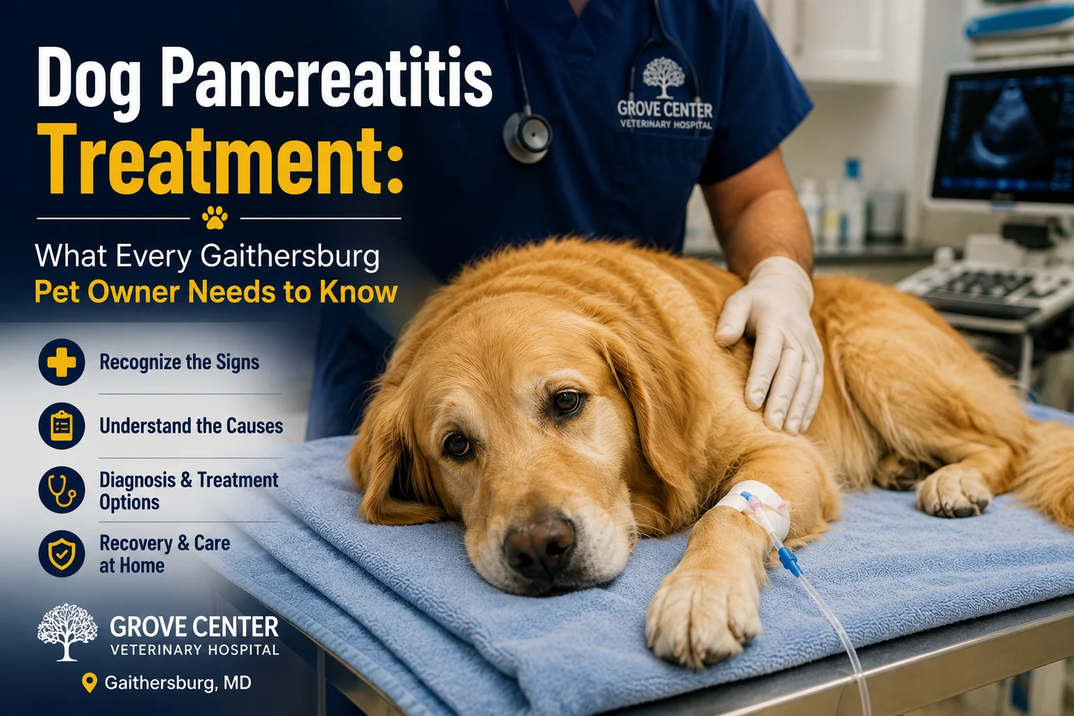 Dog Pancreatitis Treatment: Signs : infographic