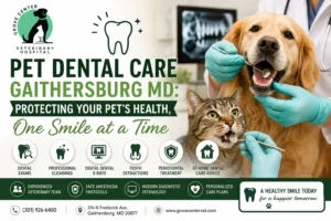 Pet Dental Care Gaithersburg MD