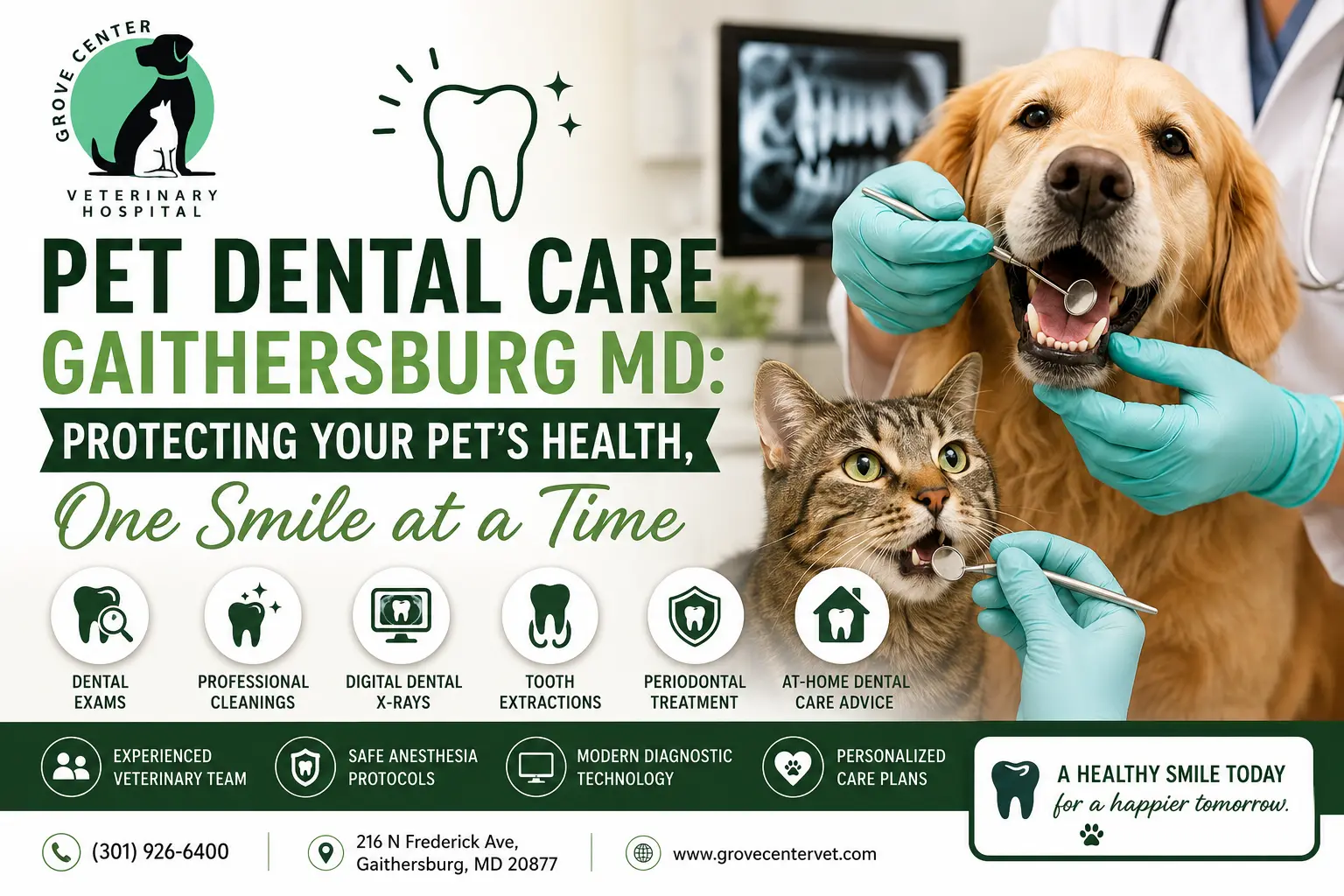 Pet Dental Care Gaithersburg MD