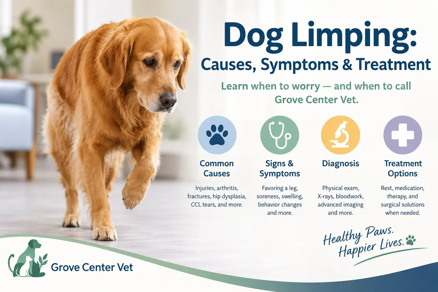 Dog Limping